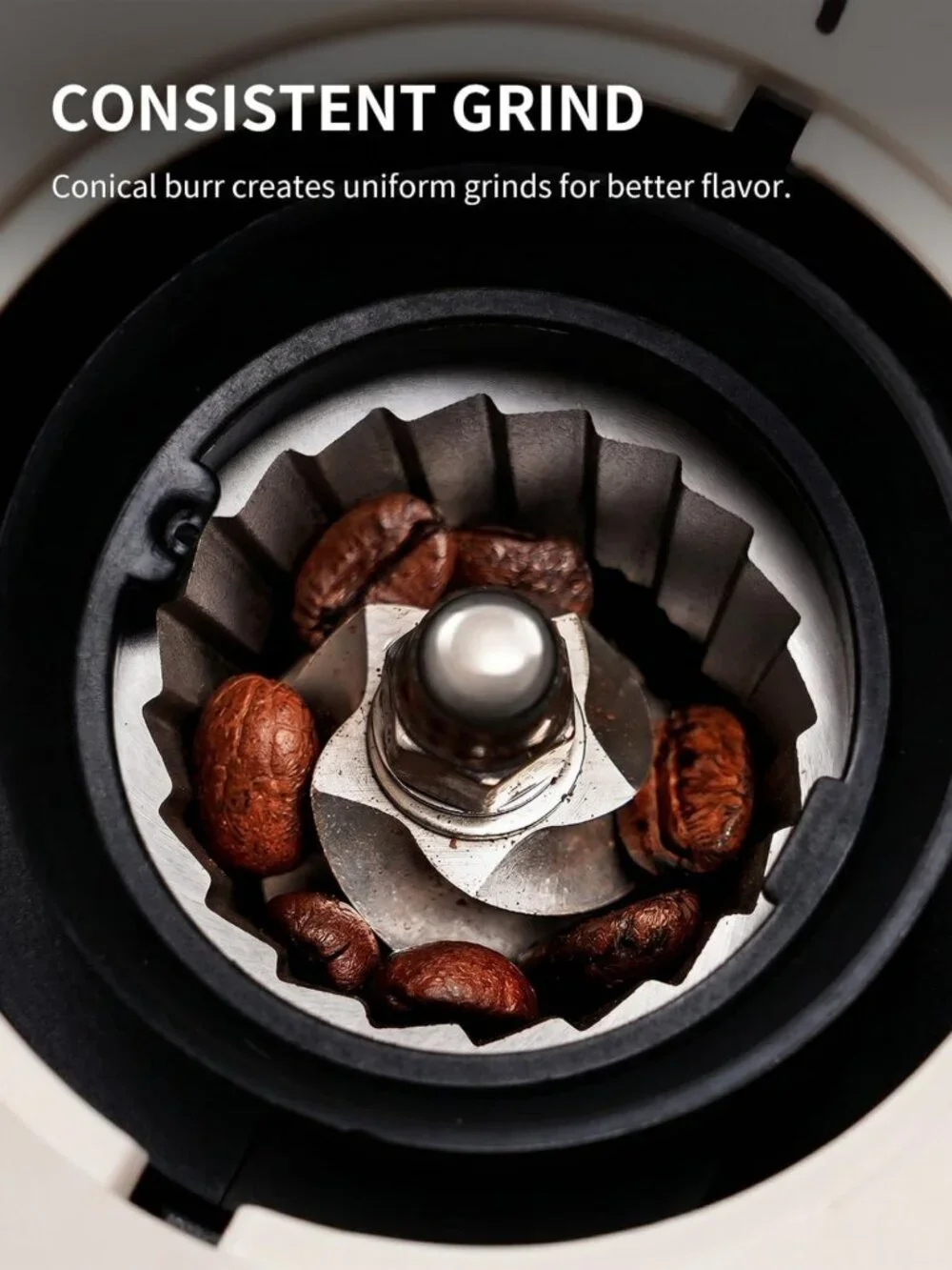 Electric Conical Burr Coffee Grinder, 35 Settings, Anti-Static, Home Use, Beige